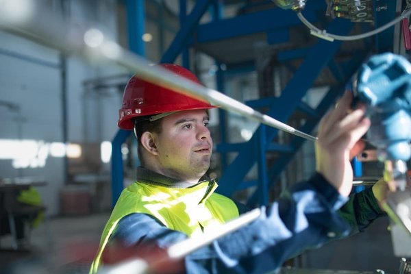 What's the Best Way to Introduce a New Tarantula to Your Existing Collection?